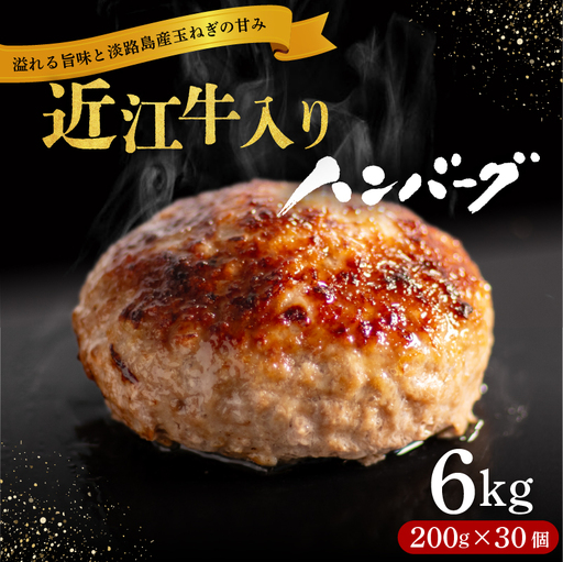 近江牛入りハンバーグ[RM213](30個計6kg)【2月】