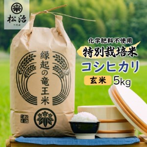 【令和4年産新米先行受付】十代目松治の特別栽培米コシヒカリ「縁起の竜王米」 玄米5kg【1238577】