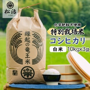 【令和3年産】特別栽培米コシヒカリ「縁起の竜王米」 白米30kg(10kgx3袋)【1307013】