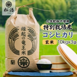 【令和4年産新米先行受付】特別栽培米コシヒカリ「縁起の竜王米」 玄米30kg【1307014】