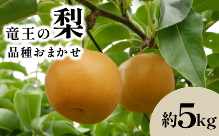 梨 フルーツ 果実 くだもの 竜王産 滋賀県 竜王町 送料無料 期間限定 数量限定