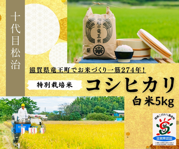 [ 新米予約 ] コシヒカリ 白米 5kg 縁起の竜王米 ( 令和6年産 先行予約 新米