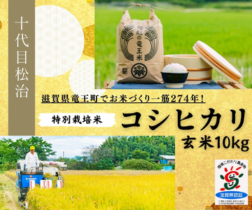 [ 新米予約 ] コシヒカリ 玄米 10kg 縁起の竜王米 ( 令和6年産 先行予約 新米