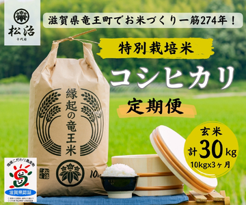 [ 新米予約 ] 定期便 3ヶ月 コシヒカリ 玄米 10kg 縁起の竜王米 ( 令和6年産 先行予約