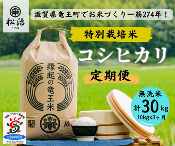 [ 新米予約 ] 定期便 3ヶ月 コシヒカリ 無洗米 10kg 縁起の竜王米 ( 令和6年産