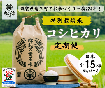 [ 新米予約 ] 定期便 3ヶ月 コシヒカリ 白米 5kg 縁起の竜王米 ( 令和6年産 先行予約 新米