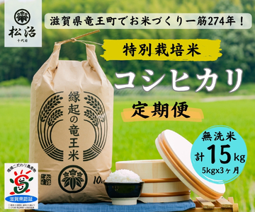 [ 新米予約 ] 定期便 3ヶ月 コシヒカリ 無洗米 5kg 縁起の竜王米 ( 令和6年産 先行予約