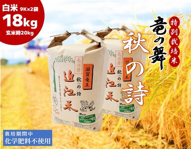 秋の詩 白米 20kg ( 10kg × 2袋入 ) 2022年産 竜の舞 化学肥料不使用 特別栽培米 農家直送 滋賀県 竜王町
