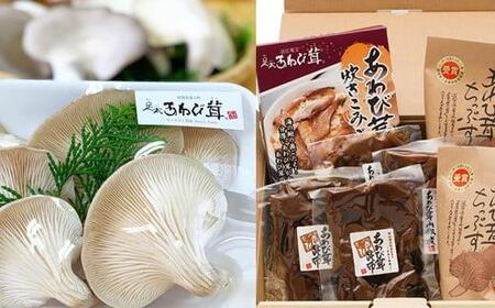 あわび茸 プレミアムセット 自慢の逸品 あわび茸 きのこ キノコ 足太 炊き込みご飯の素 佃煮 2種 山椒煮 昆布煮 チップス ちっぷす 国産 農薬不使用 滋賀県 竜王町 送料無料 贈り物 ギフト プレゼント おかず おつまみ おやつ 産地直送