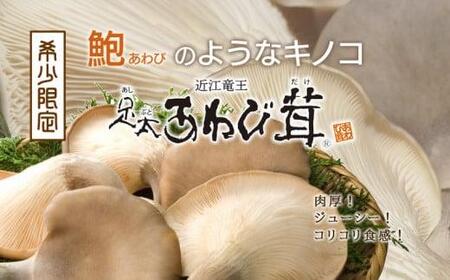 特選 竜王 足太あわび茸 ( 生 ) 1kg 希少 足太あわび茸 きのこ キノコ 国産 食材 健康 農薬不使用 滋賀県 竜王町 送料無料 贈り物 ギフト プレゼント 産地直送