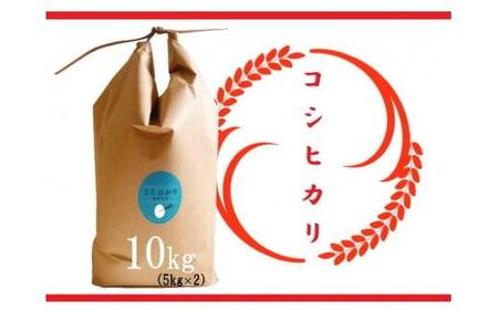 [令和6年産 特別栽培 近江米 『コシヒカリ』10kg(5kg×2)]米 近江米 滋賀県 竜王