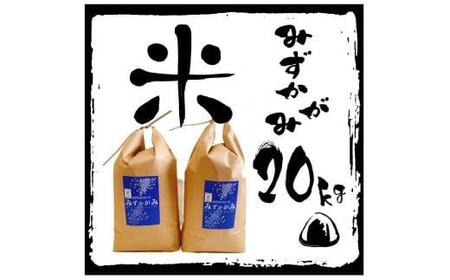 [令和6年産 特別栽培 近江米 『みずかがみ』20kg(5kg×4)]米 近江米 ブランド米 滋賀県 竜王