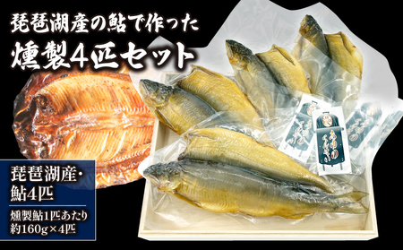 琵琶湖 湖魚の返礼品 検索結果 | ふるさと納税サイト「ふるなび」