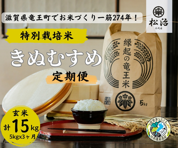 [ 新米予約 ] 定期便 3ヶ月 きぬむすめ 玄米 5kg 縁起の竜王米 ( 令和6年産