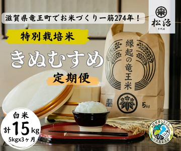 [ 新米予約 ] 定期便 3ヶ月 きぬむすめ 白米 5kg 縁起の竜王米 ( 令和6年産