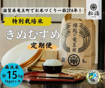 [ 新米予約 ] 定期便 3ヶ月 きぬむすめ 無洗米 5kg 縁起の竜王米 ( 令和6年産