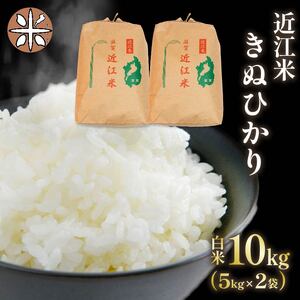 令和6年産 きぬひかり 白米 10kg