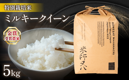 ミルキークイーン 5kg (金賞受賞農家 令和5年産 米 精米 特別栽培米 ミルキｰクイｰン ミルキｰクイｰン精米 ミルキｰクイｰン)