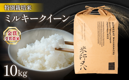 令和6年産 新米 ミルキークイーン 10kg (金賞受賞農家 2024年産 金賞 精米 特別栽培米 ミルキｰクイｰン ミルキｰクイｰン精米 金賞)