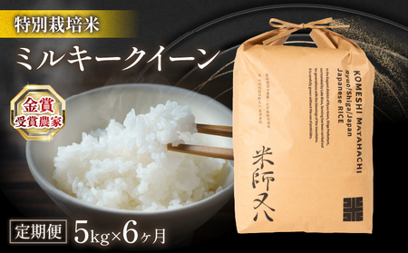 令和6年産 新米 定期便 6ヶ月 ミルキークイーン 5kg ( 6回 計30kg 2024年産 ブランド 米 定期便 rice 精米 白米 ご飯 内祝い 十六代目米師又八 謹製 もちもち 国産 送料無料 滋賀県 竜王 ふるさと納税 )