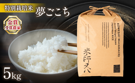 [ 1 ~ 2週間以内に発送 ] 令和6年産 新米 夢ごこち 5kg ( 2024年産 ブランド 米 rice 精米 白米 ご飯 内祝い 十六代目米師又八 謹製 もちもち 国産 送料無料 滋賀県 竜王 ふるさと納税 )