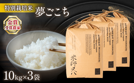 令和6年産 新米 夢ごこち 30kg ( 10kg × 3袋 金賞受賞農家 2024年産 ブランド 米 rice 精米 白米 ご飯 内祝い 十六代目米師又八 謹製 もちもち 国産 送料無料 滋賀県 竜王 ふるさと納税 )