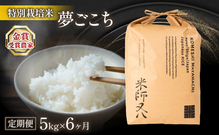 令和6年産 新米 定期便 6ヶ月 夢ごこち 5kg (金賞受賞農家 2024年産 精米 特別栽培米 夢ごこち精米 夢ごこち)