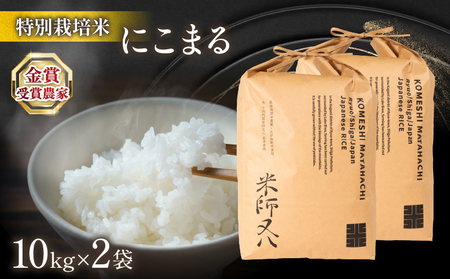 令和6年産 新米 十六代目米師又八 謹製 にこまる 10kg×2袋 ( 米 にこまる 精米 白米 2024年産 産地直送 農家直送 国産 特別栽培 金賞農家 滋賀県 竜王町)