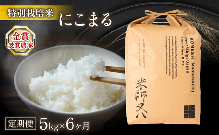 令和6年産 新米 [定期便] 十六代目米師又八 謹製 にこまる 5kg×6ヶ月 ( 米 にこまる 精米 白米 2024年産 産地直送 農家直送 国産 特別栽培 金賞農家 滋賀県 竜王町)