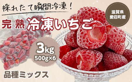[採れたて瞬間冷凍!]滋賀県愛荘町産 冷凍いちご 3kg(500g×6)品種ミックス