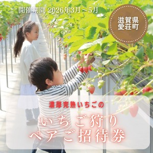 いちご狩り ペアご招待券 期間2026年3月末頃〜2026年5月末日頃(いちご狩りシーズン期間内)