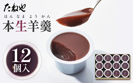 【たねや】本生羊羹12個入 2025年4月上旬より順次発送 BN10