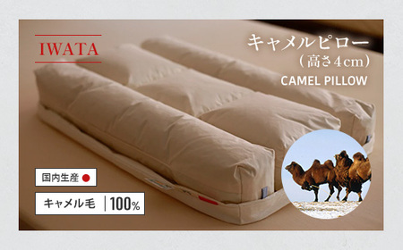 枕 キャメル IWATA 高さ4cm ラクダ まくら 職人 滋賀 愛荘
