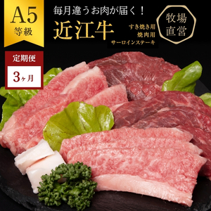 [近江牛 西川畜産][3か月定期便]近江牛A5ランク雌牛 毎月違う肉が届く!近江牛味わいセット