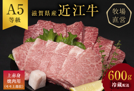 [ふるなびWEEK限定][近江牛 西川畜産]A5ランク雌牛 上赤身焼肉用 約600g ふるさと納税 お肉 牛肉 バーベキュー モモ ブランド牛