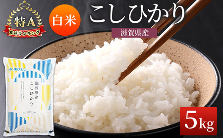 コシヒカリ 白米 5kg 米 コメ お米 こめ 精米 こしひかり 滋賀県 豊郷町