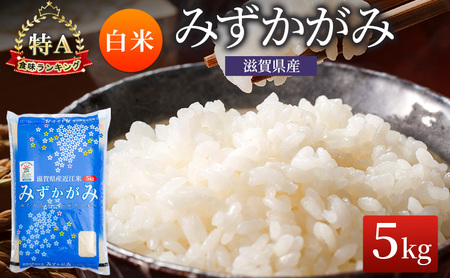 みずかがみ 白米 5kg 米 コメ お米 こめ 精米 ミズカガミ 滋賀県 豊郷町