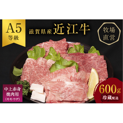 [(限定)父の日までに届く]近江牛 西川畜産 近江牛 焼肉 中上赤身焼肉用 約600g A5 雌牛 牛肉 黒毛和牛 焼き肉 焼肉用 バーベキュー 赤身 肉 お肉 牛 和牛 ブランド牛[6/21までに着]
