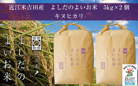 [新米]令和6年産 よしだのよいお米 近江米キヌヒカリ5kg×2