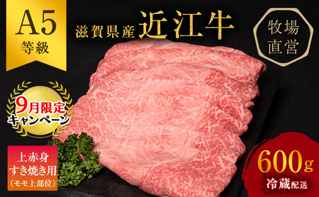 y9܂ł̌艿izߍ] Ă Ԑg 600g A5  {Y  јa ₫ Ă Ăp    a uh cp2509