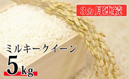 [新米]令和6年環境こだわり近江米ミルキークイーン5kg(無洗米)×3カ月連続お届け