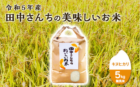 令和5年産田中さんちのおいしいお米A キヌヒカリ5kg(無洗米)