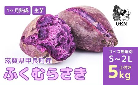 熟成 ふくむらさき(生芋)S〜2Lサイズ 5kg 紫さつまいも