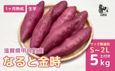 熟成 なると金時(生芋)S〜2Lサイズ 5kg さつまいも