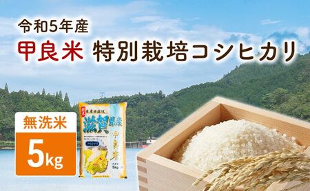 [令和5年産]甲良米 特別栽培コシヒカリ 無洗米 5kg