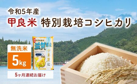 [令和5年産]甲良米 特別栽培コシヒカリ 無洗米 5kg 5ヶ月連続
