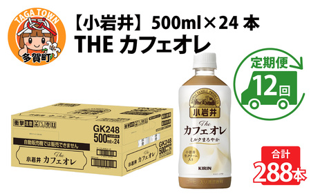 y12zL  TheJtFI 500ml ybg{g × 24{ | JtFI