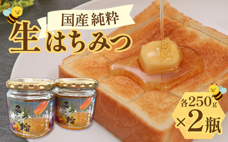 [先行予約][期間限定]国産純粋生はちみつ[C-03001] | はちみつ