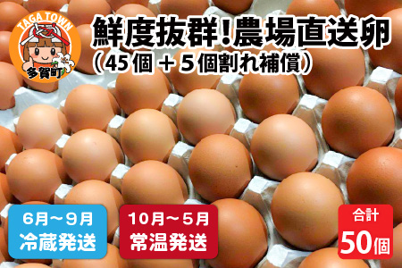 鮮度抜群!農場直送「卵」50個(45個 + 卵割れ補償 5個)