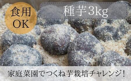 [芋家なか吉]丹波山の芋 種芋 3kg 食用でもOK/令和7年11月収穫[ 京都 芋 いも イモ 新鮮 野菜 栽培 人気 おすすめ お取り寄せ 通販 ふるさと納税 ]